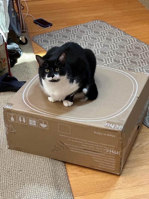 Hope he likes what's inside as much as the outside