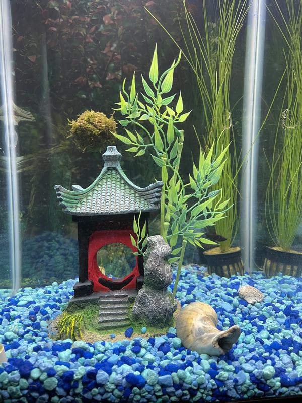 Asian themed shop fish tank decorations