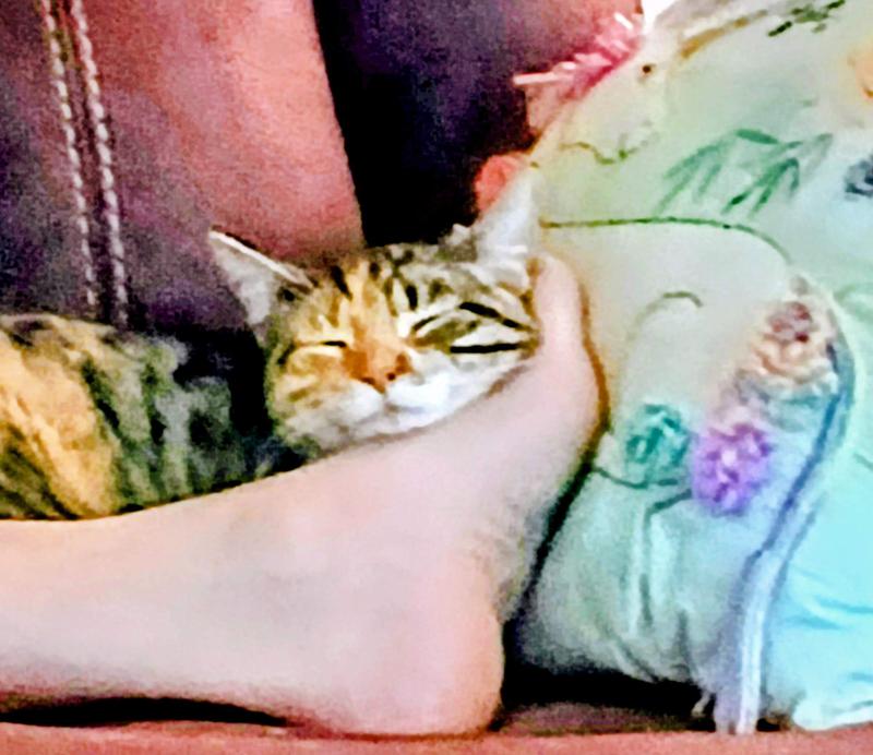 Photo - commentaire 1.