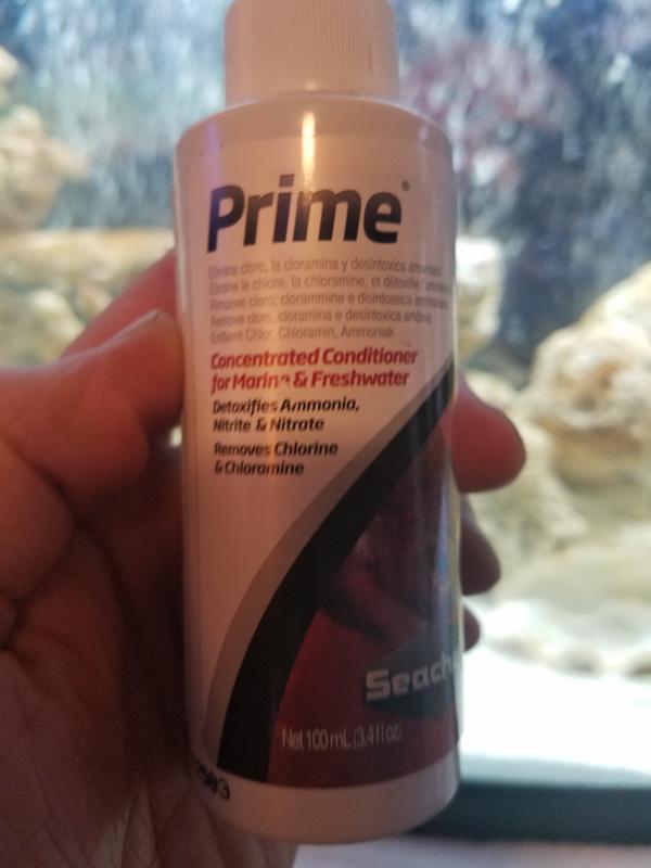 Prime concentrated conditioner clearance for marine and freshwater