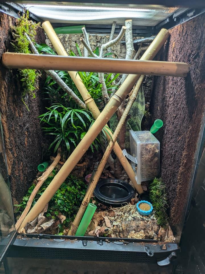 Zoo Med Tropical Kit | Petco