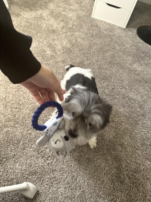 She took it right out of my hands!