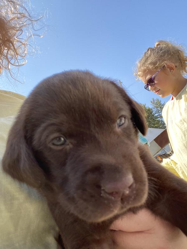 Our little puppy born 8/25/2020