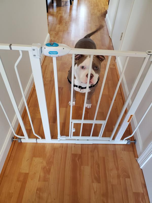Carlson Extra Wide Walk Through Pet Gate with Small Pet Door, Includes  4-Inch Extension Kit, Pressure Mount Kit and Wall Mount Kit,White