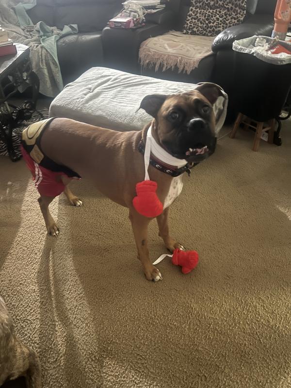 "CHEESE"