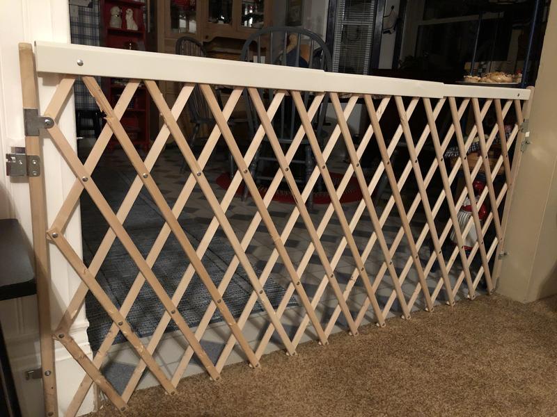 Wooden gate she USED to chew