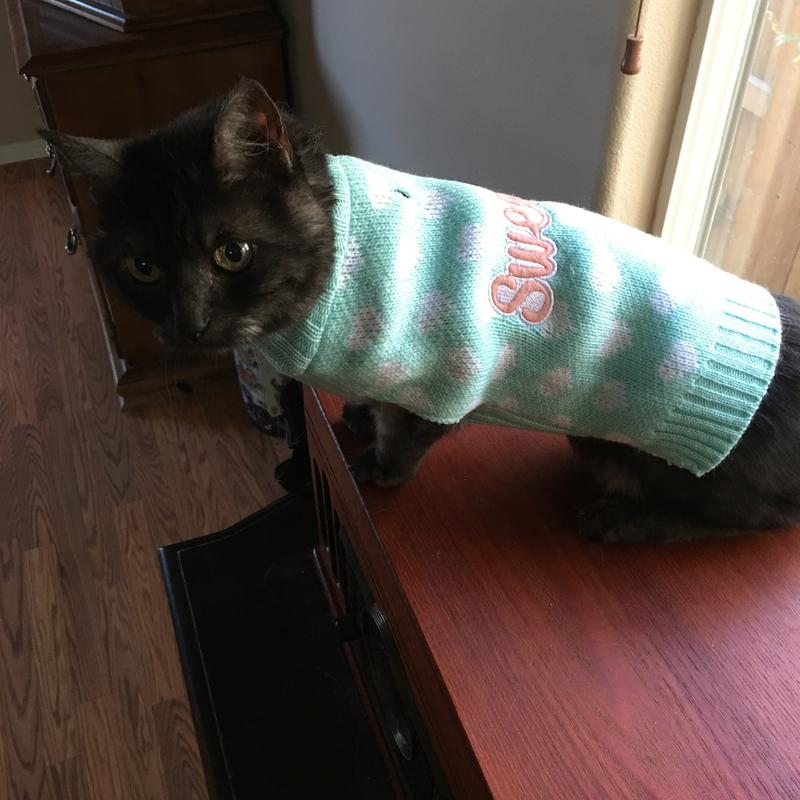 15 yr old baby
