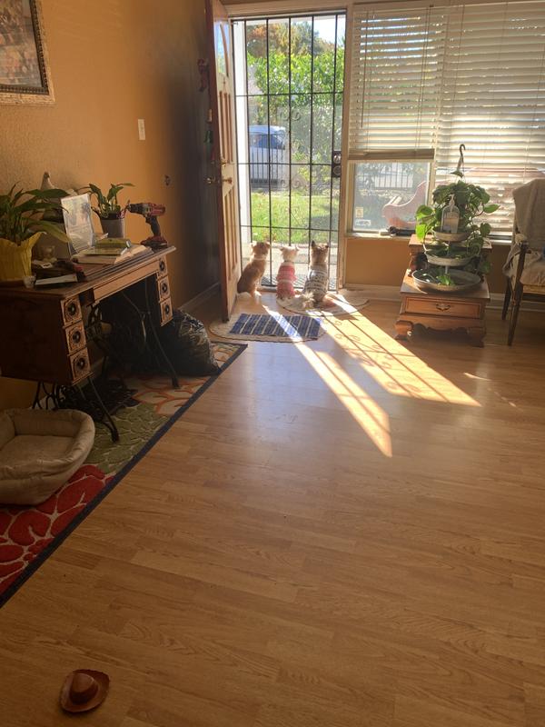 Waiting patiently for there new treats ! ❤️❤️❤️