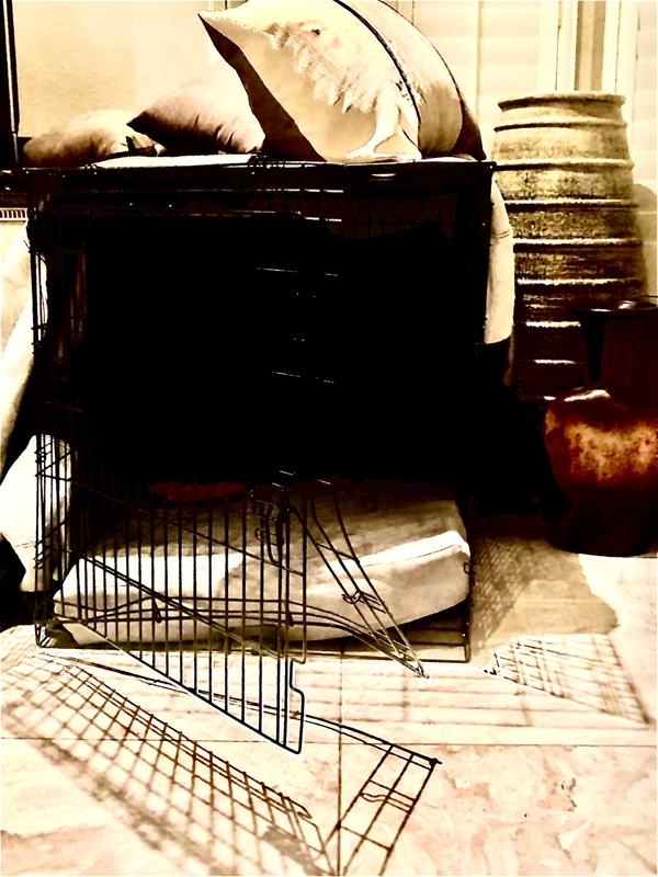 you and me 2 door folding crate xl