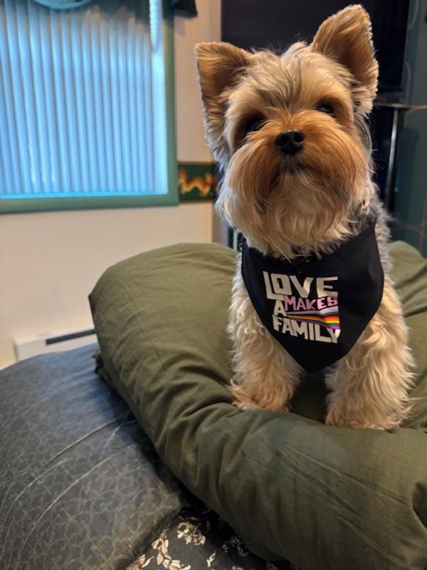 Dagger showing his pride in wearing his pride bandana