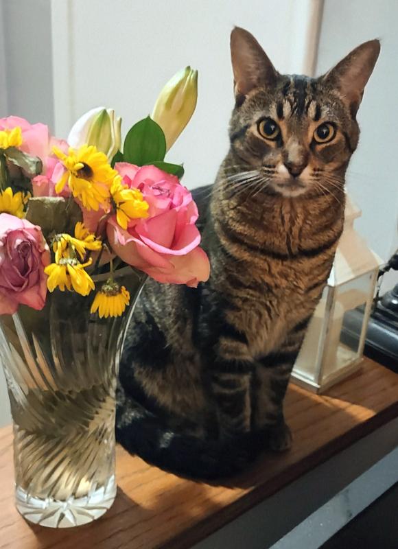 Can't help it , she's adorable 🥰