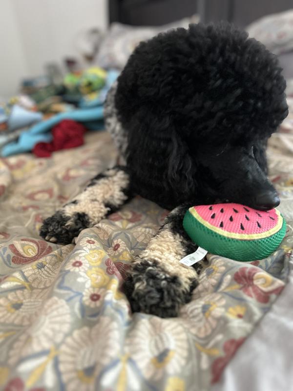 Photo - commentaire&nbsp;8.