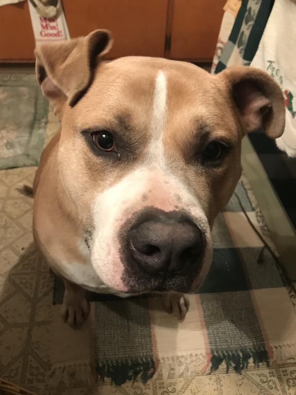 Oakley