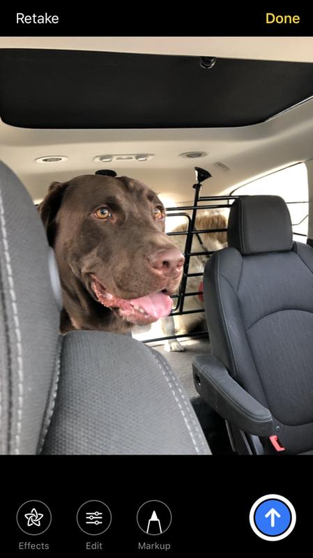 tahoe dog barrier