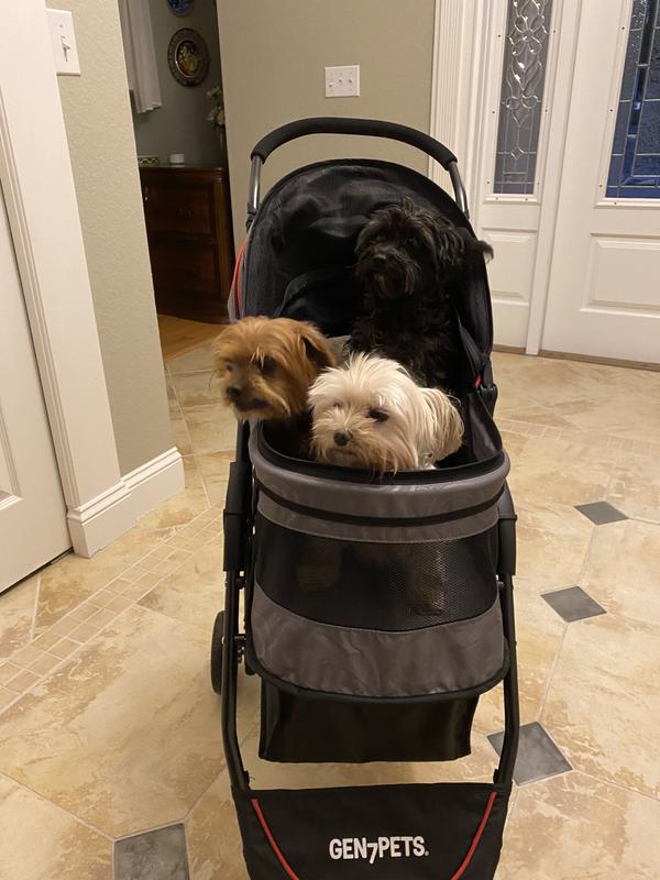 Gen7pets regal hotsell pet stroller