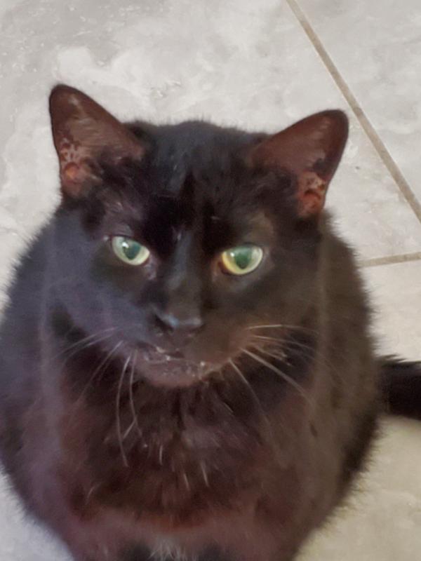 My pretty boy