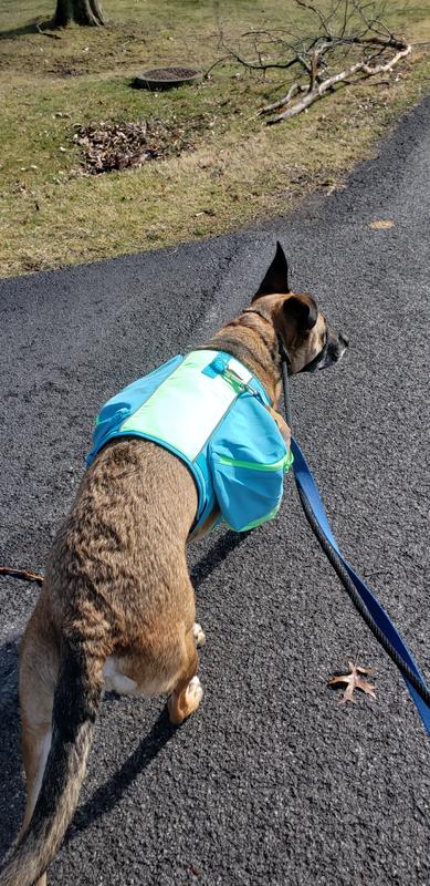 YOULY The Adventurer Dog Backpack Harness, Medium