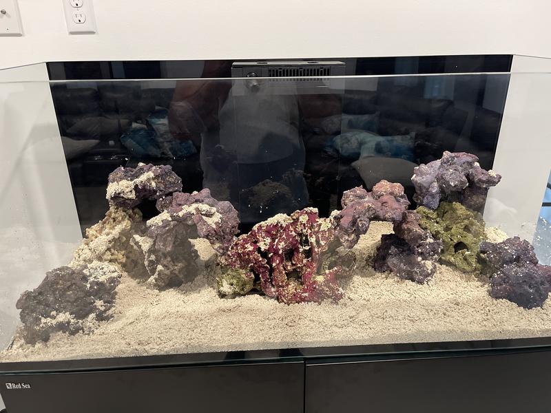 Caribsea life rock arch — Picasso Aquarium