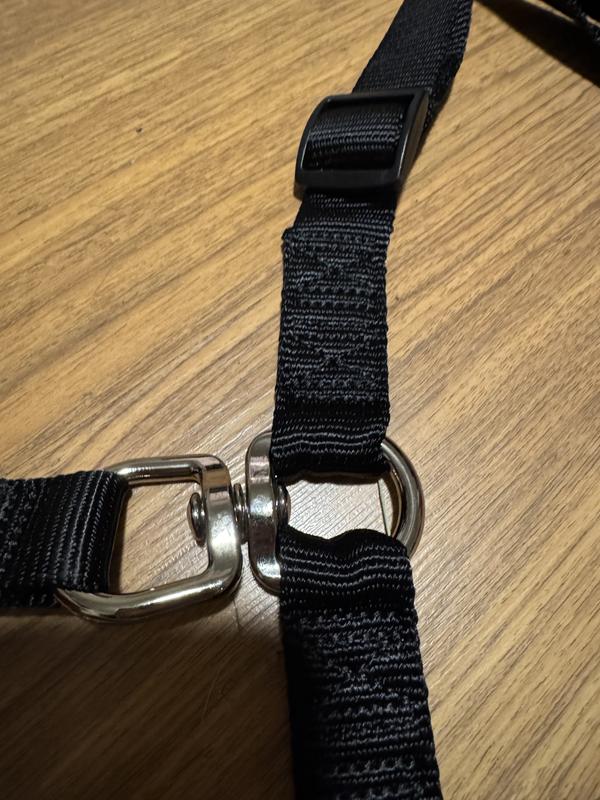 Swivel at the base of the two separate leashes