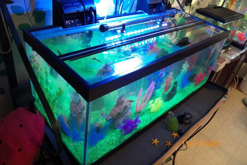Aqueon Versa Glass Aquarium Top For 26 Gallon Bow Front Tank - Brand New