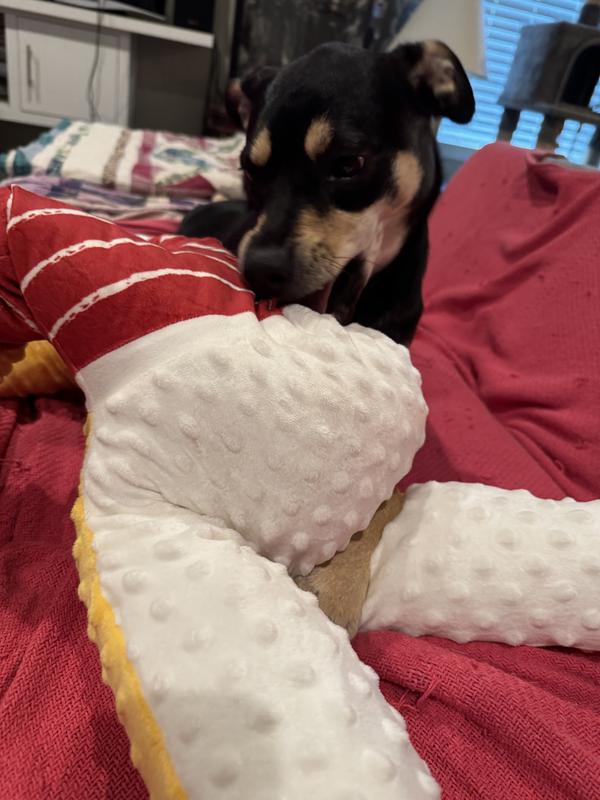 Ruby found the squeaker!