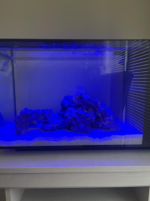 Evo - Fluval USA