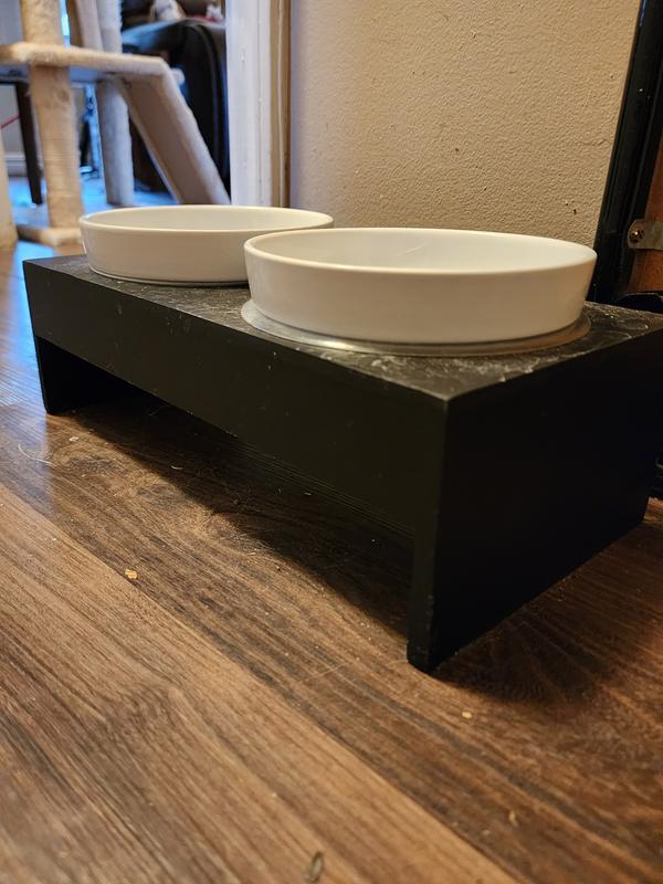 Harmony elevated dog bowl double clearance diner