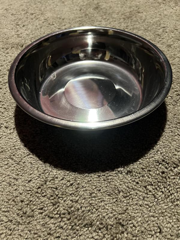 EveryYay Stainless Steel Dog Bowl Insert 1.75 Cups