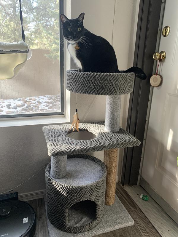 You Me So Pawsh Multi Level Cat Condo 36 5 H Petco