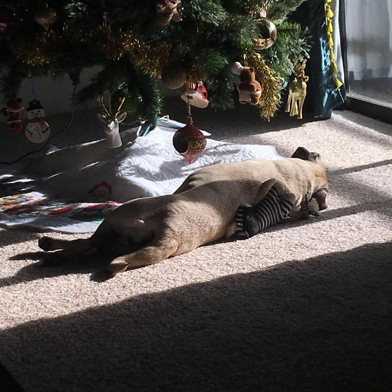 Best friends forever!