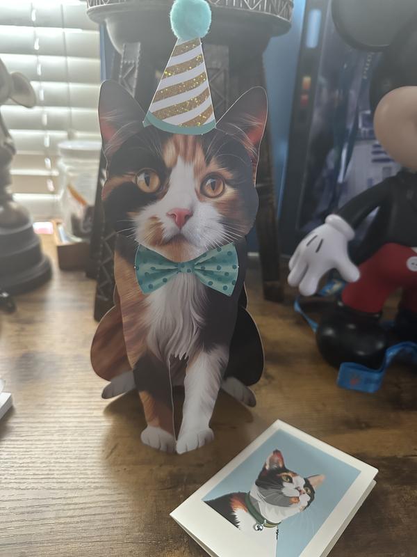 Additional blank card is perfect for any occasion.