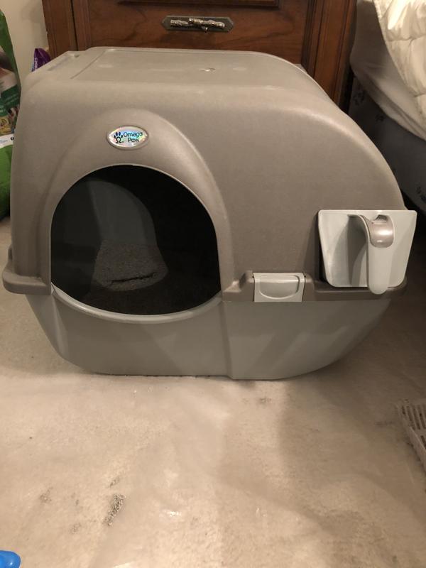 Photo - commentaire 5.