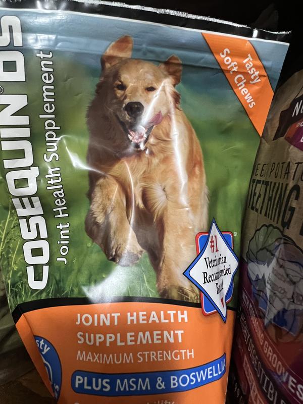 Cosequin ds plus msm joint health supplement for hot sale dogs