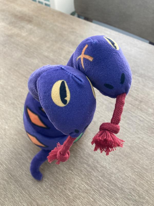 The toy