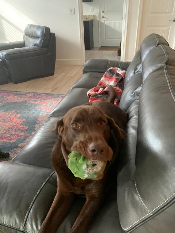 Photo - commentaire&nbsp;7.