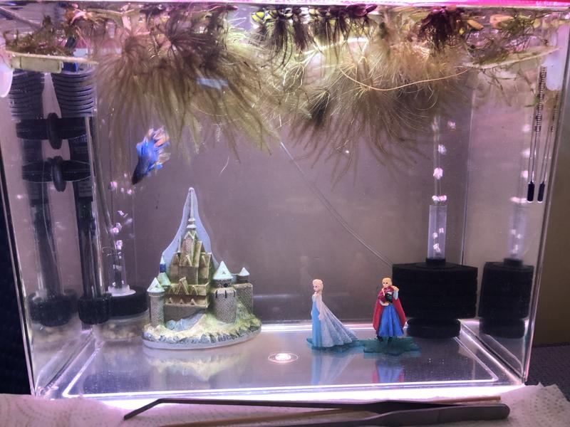 Frozen aquarium decorations hotsell