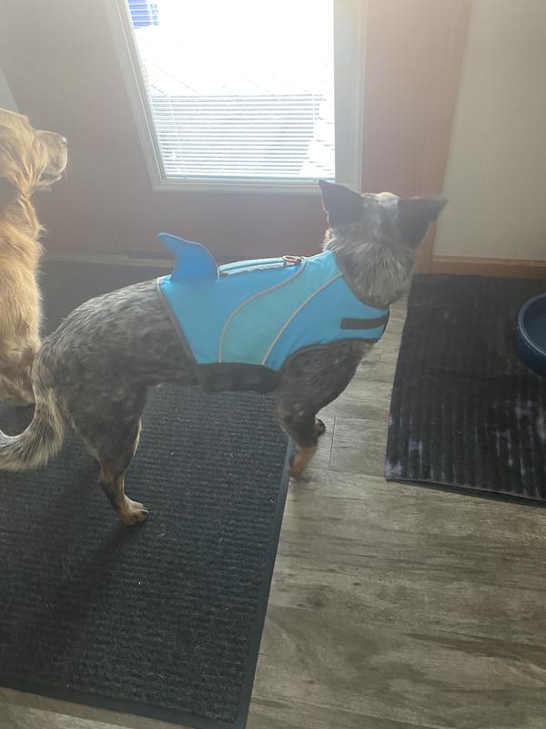 Ready for the pool!