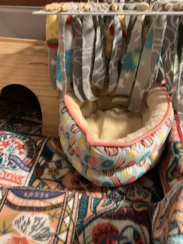 Roo playing in his cute little bed. ❤️