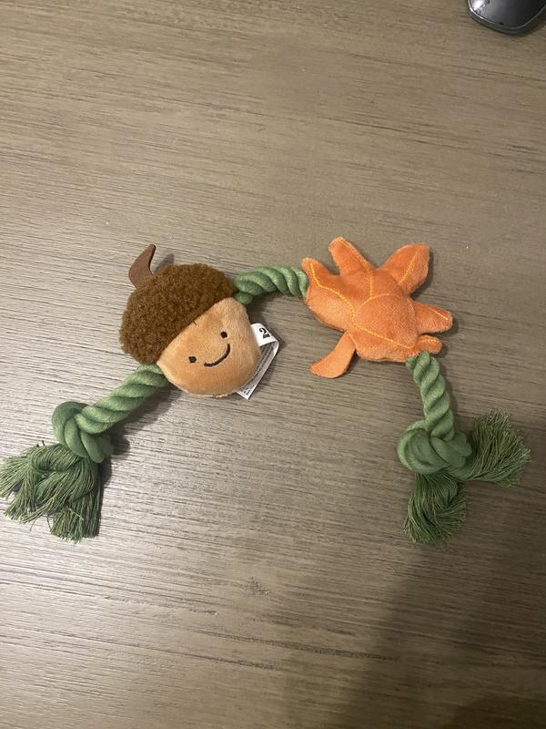 Photo - commentaire 7.