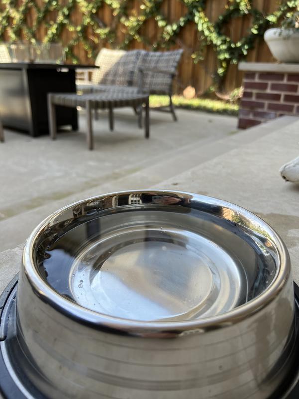 Great for food and water!