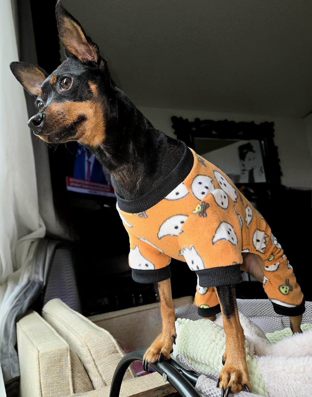 Bootique Ghost Print PJ for Dogs Cats XX Small Petco