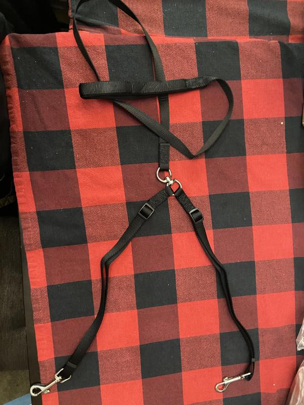 Perfect size for my small dogs