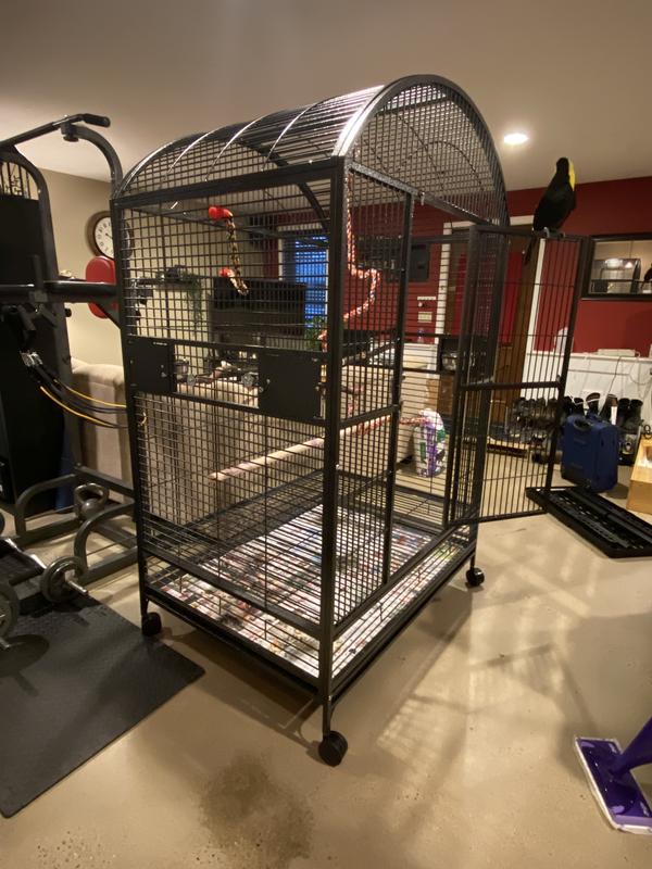 A&E Cage Company Black Palace Dometop Bird Cage, 32 L X 23 W X 63 H