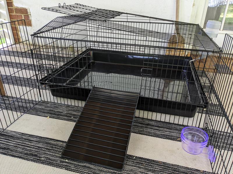 Oxbow guinea pig outlet cage with play yard