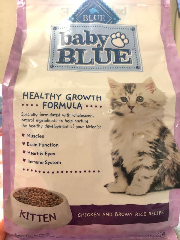 blue kitten healthy growth