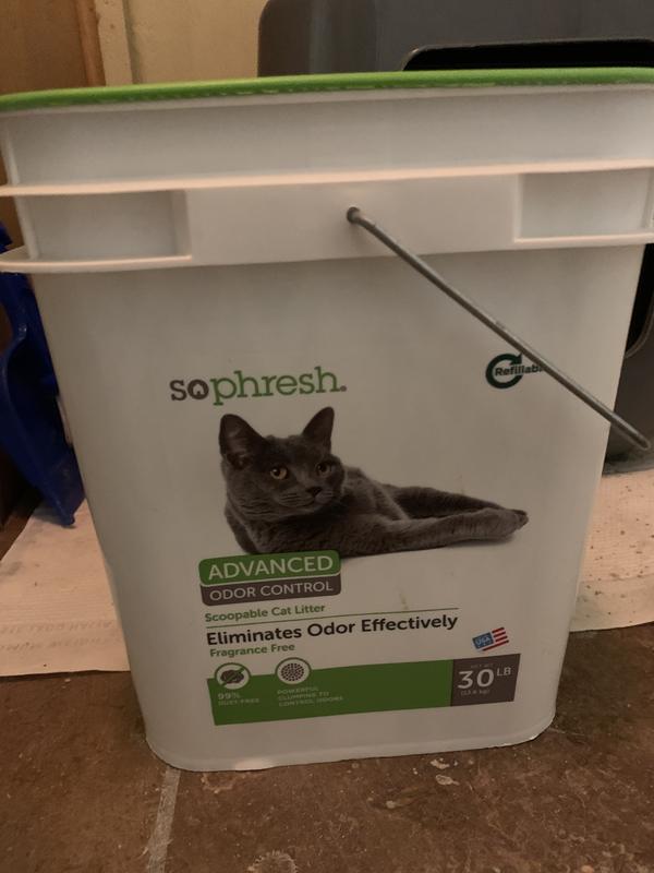 So Phresh Advanced Odor Control Scoopable Cat Litter, 40 lbs. Petco