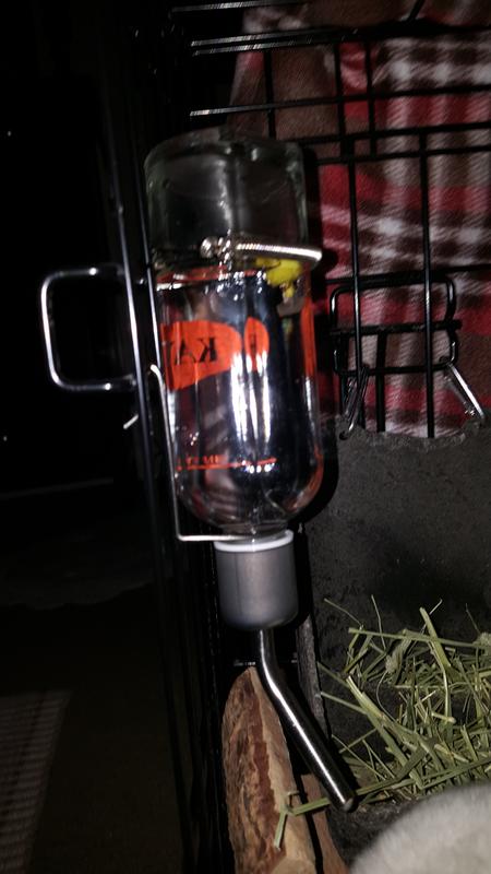 Hamster water bottle 2024 holder for glass tank