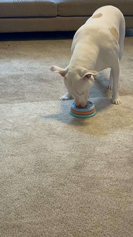 Licking it clean