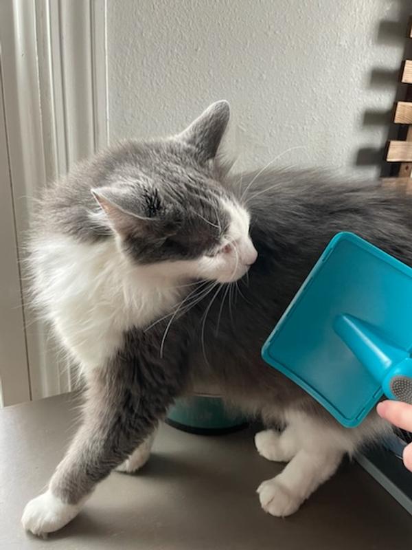 "Is it working yet?"