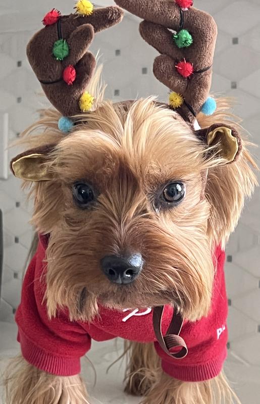 My little guy